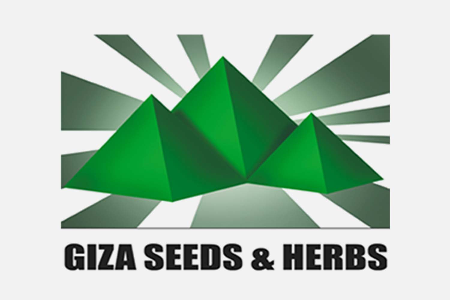 REFERENZEN_LOGO_Giza_Seeds&Herbs